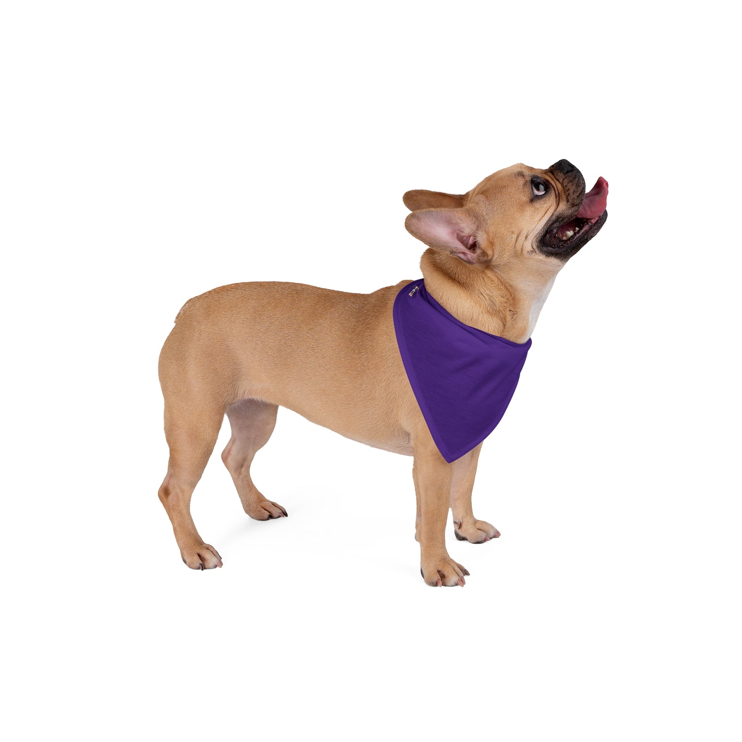 FIRST PRESS - PETS - BANDANA - "Midnight Plum"