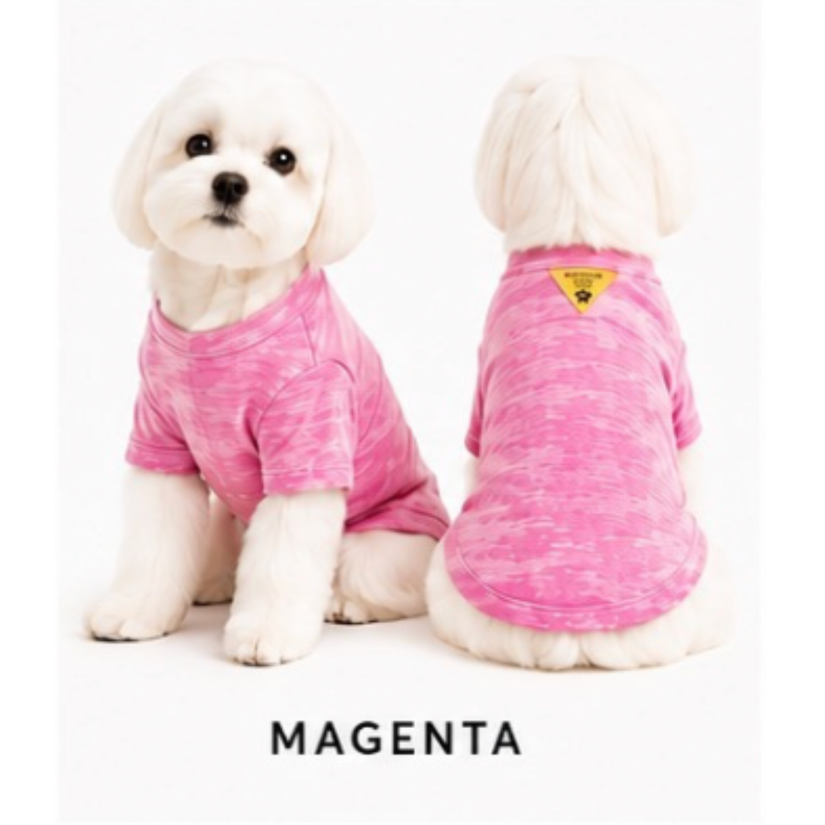 FIRST PRESS - PETS - TEES - Burnout Washed Tee