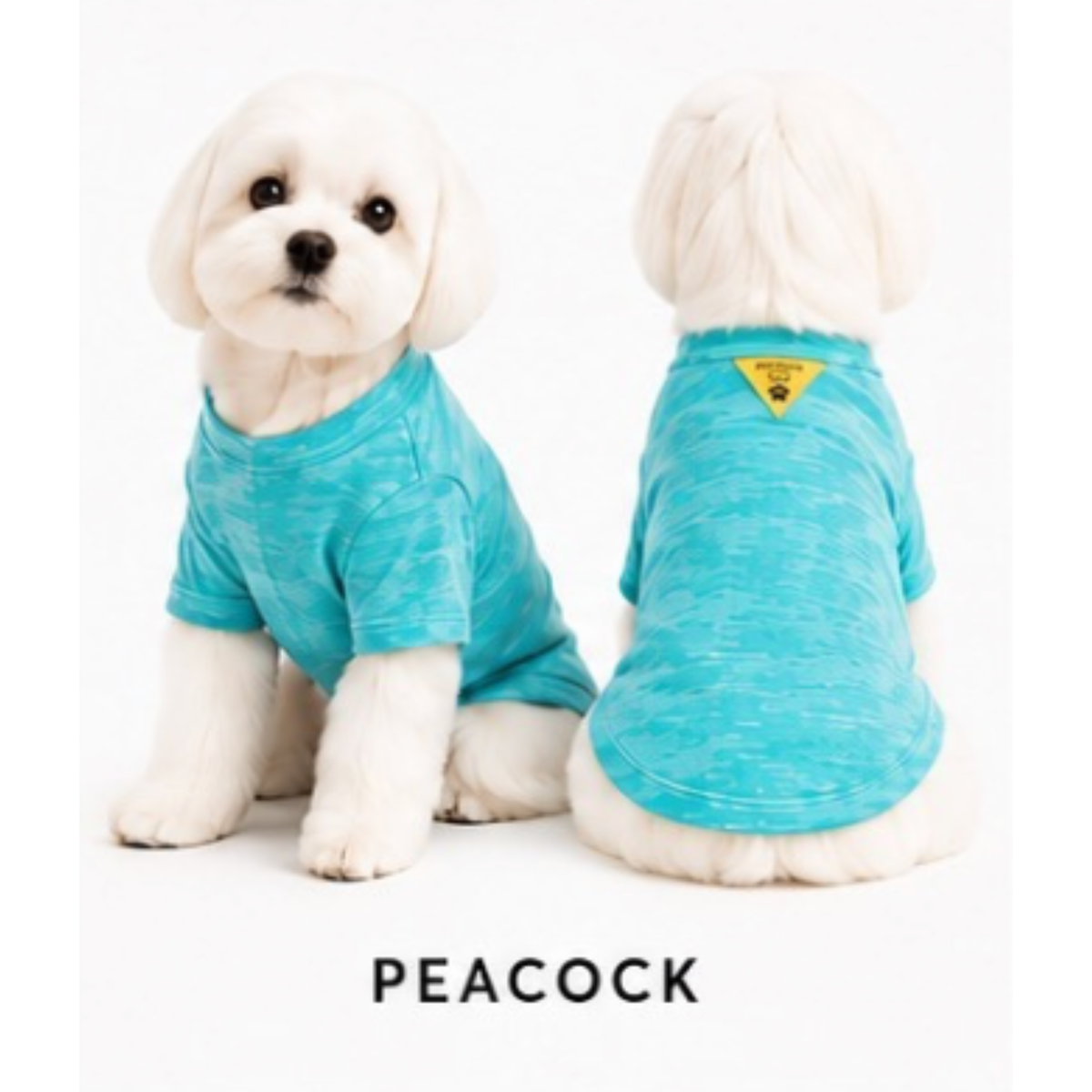 FIRST PRESS - PETS - TEES - Burnout Washed Tee