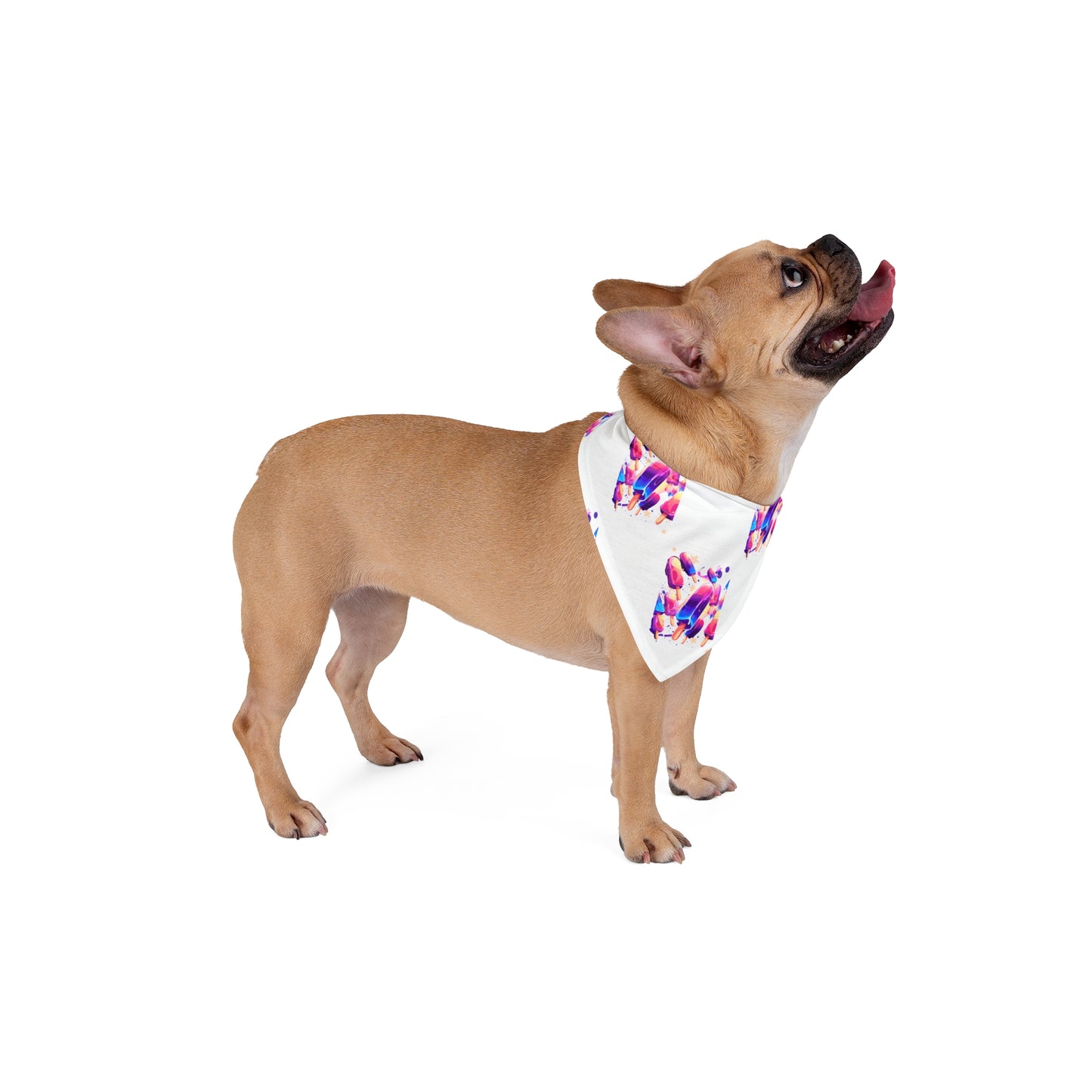 FIRST PRESS - PETS - BANDANA - "Cosmic Melt Pops"
