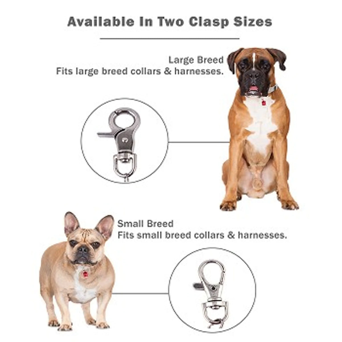FIRST PRESS - PETS - STREET GEAR - Pet Blinkers™ LED Safety Light