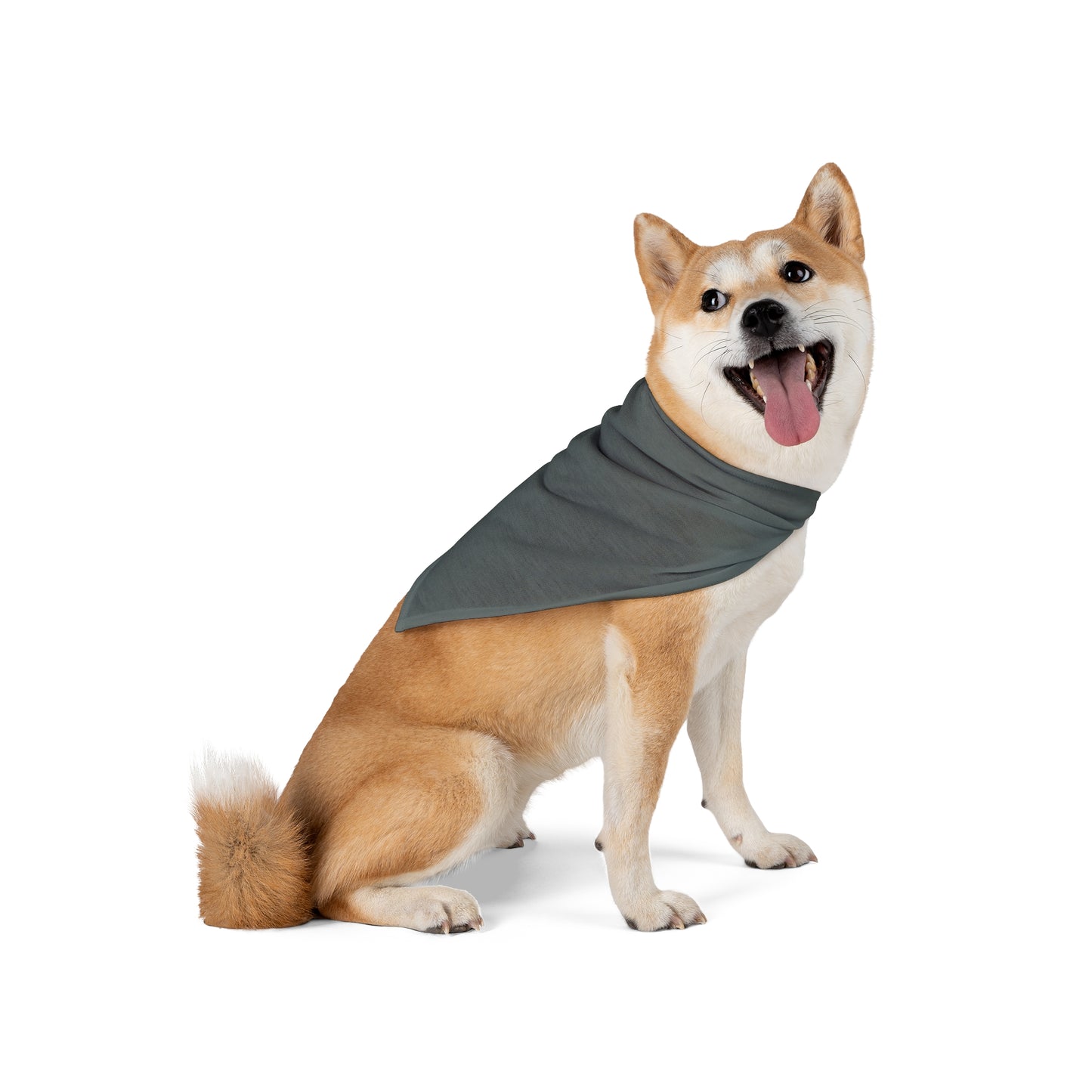 FIRST PRESS - PETS - BANDANA - "Shadow Sunday"
