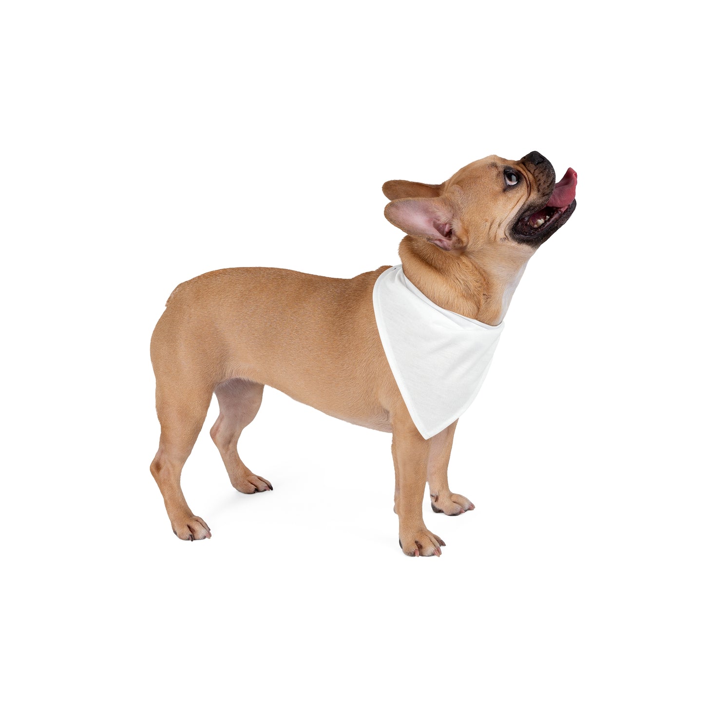 FIRST PRESS - PETS - BANDANA - "Cloud White"