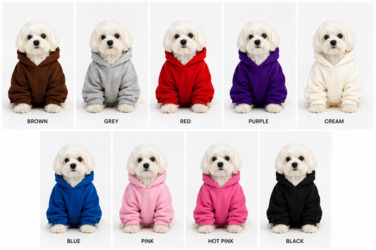 FIRST PRESS - PETS - URBAN CORE COLLECTION - Hoodies