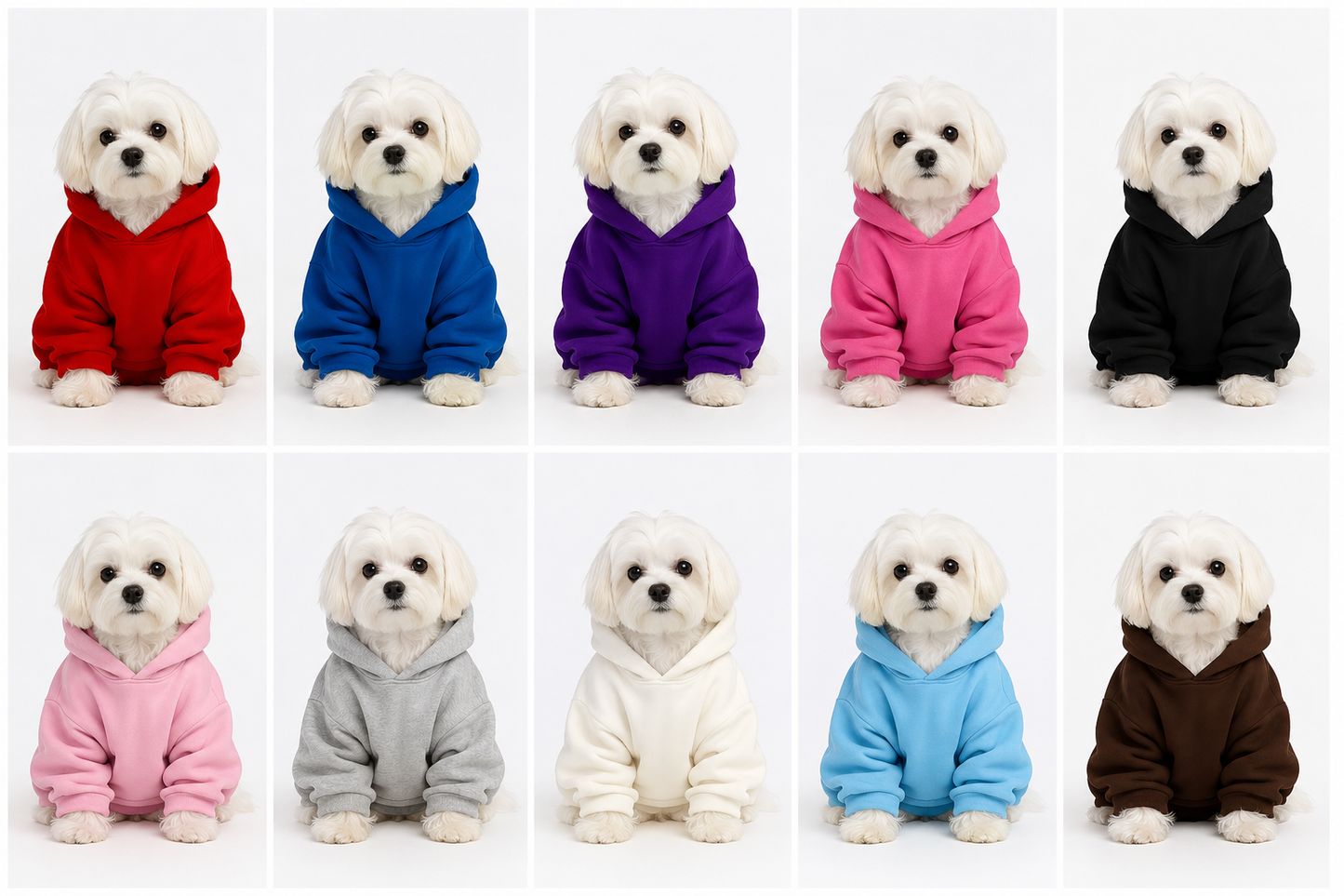 FIRST PRESS - PETS - URBAN CORE COLLECTION - Hoodies