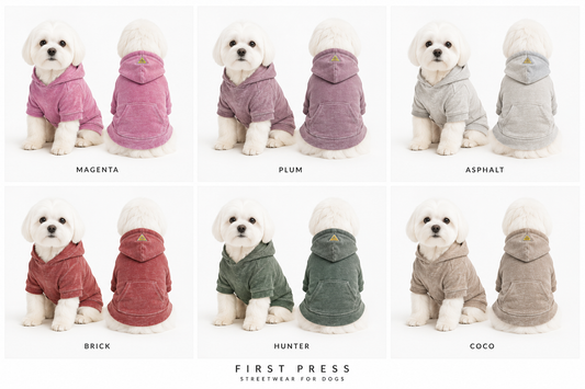 FIRST PRESS - PETS - URBAN CORE COLLECTION - Burnout Washed Hoodie