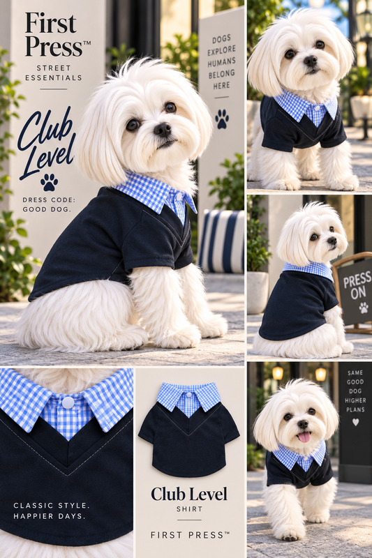 FIRST PRESS - PETS - STREET ESSENTIALS TEES + COLLARS - Club Level Shirt