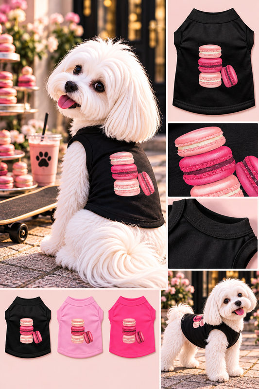 FIRST PRESS - PETS - STREET ESSENTIALS TEES + COLLARS - First Press™ Macaron Social Tee