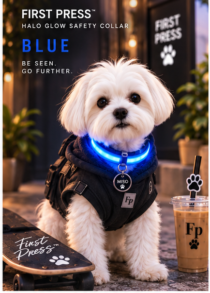 FIRST PRESS - PETS - STREET GEAR - Halo Glow Safety Collar