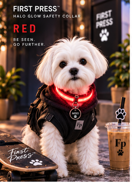 FIRST PRESS - PETS - STREET GEAR - Halo Glow Safety Collar