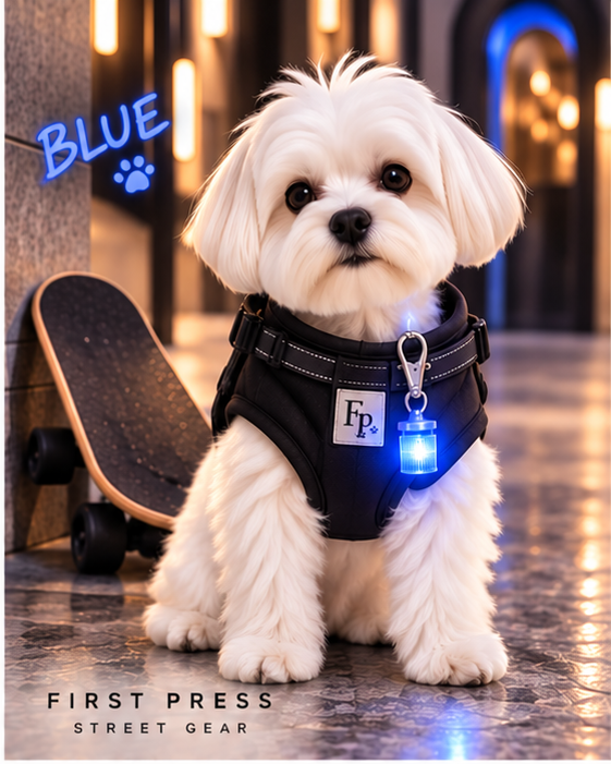 FIRST PRESS - PETS - STREET GEAR - Pet Blinkers™ LED Safety Light