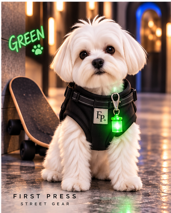 FIRST PRESS - PETS - STREET GEAR - Pet Blinkers™ LED Safety Light