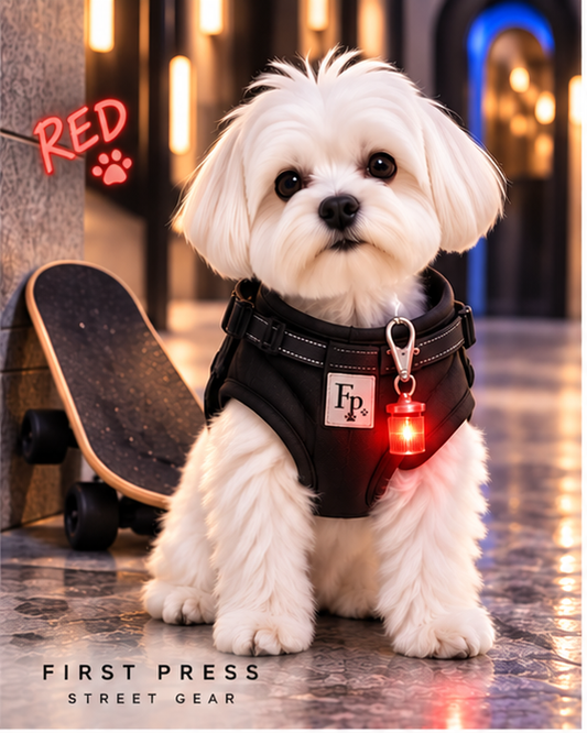 FIRST PRESS - PETS - STREET GEAR - Pet Blinkers™ LED Safety Light