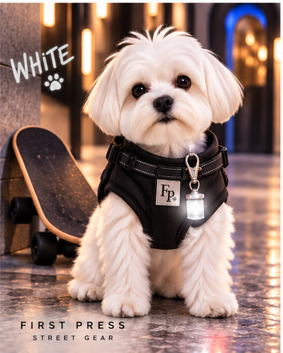 FIRST PRESS - PETS - STREET GEAR - Pet Blinkers™ LED Safety Light