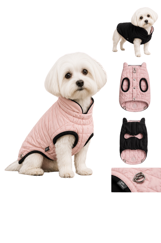 FIRST PRESS - PETS - URBAN CORE ADVENTURE COLLECTION - Chalet Jacket