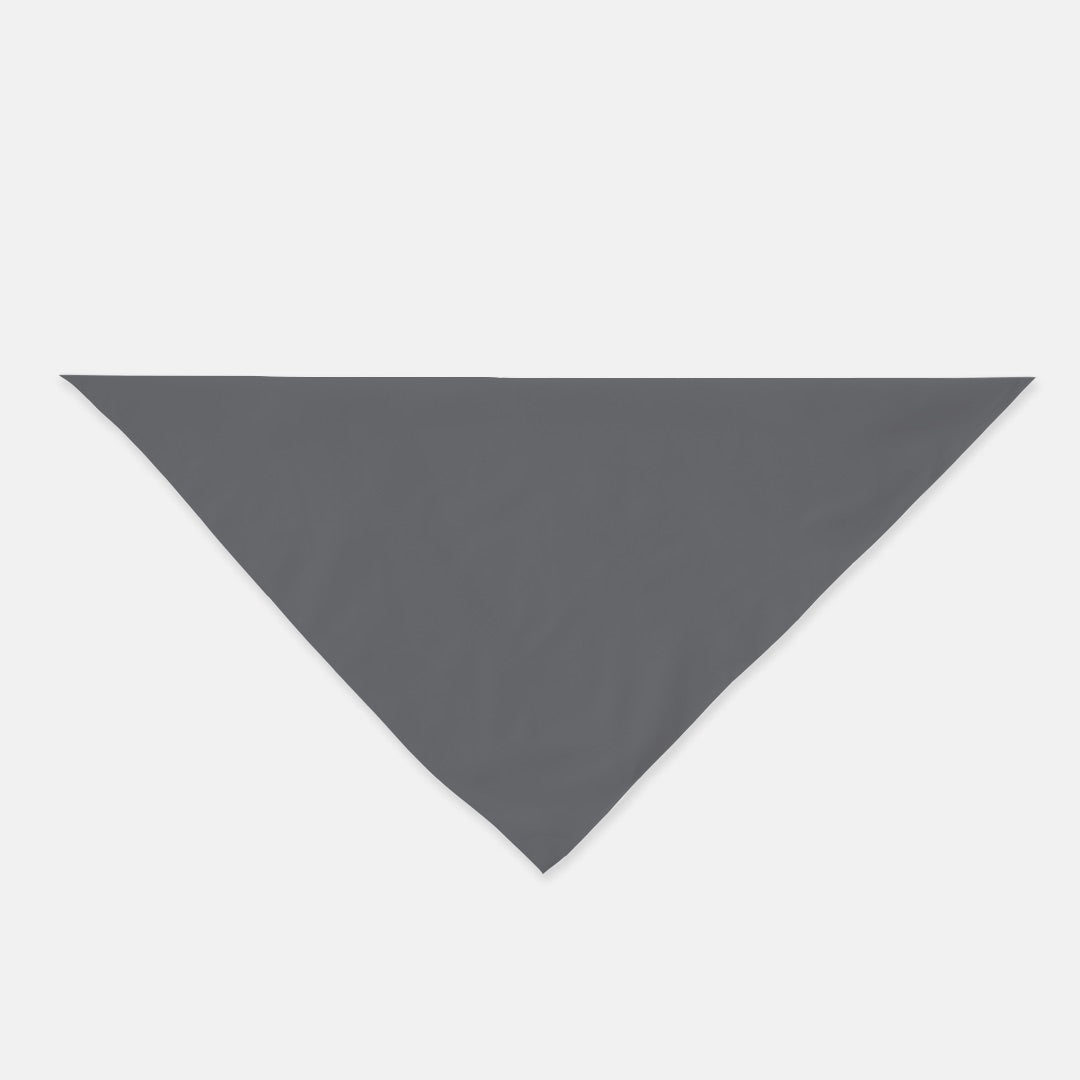 FIRST PRESS - HUMAN EDITION - BANDANA SCARF - Grey