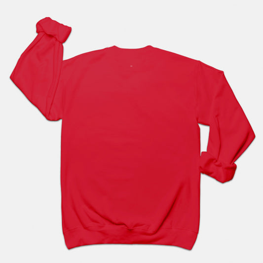 FIRST PRESS - HUMAN EDITION - UNISEX CREWNECK SWEATSHIRT - "Underground Physics"