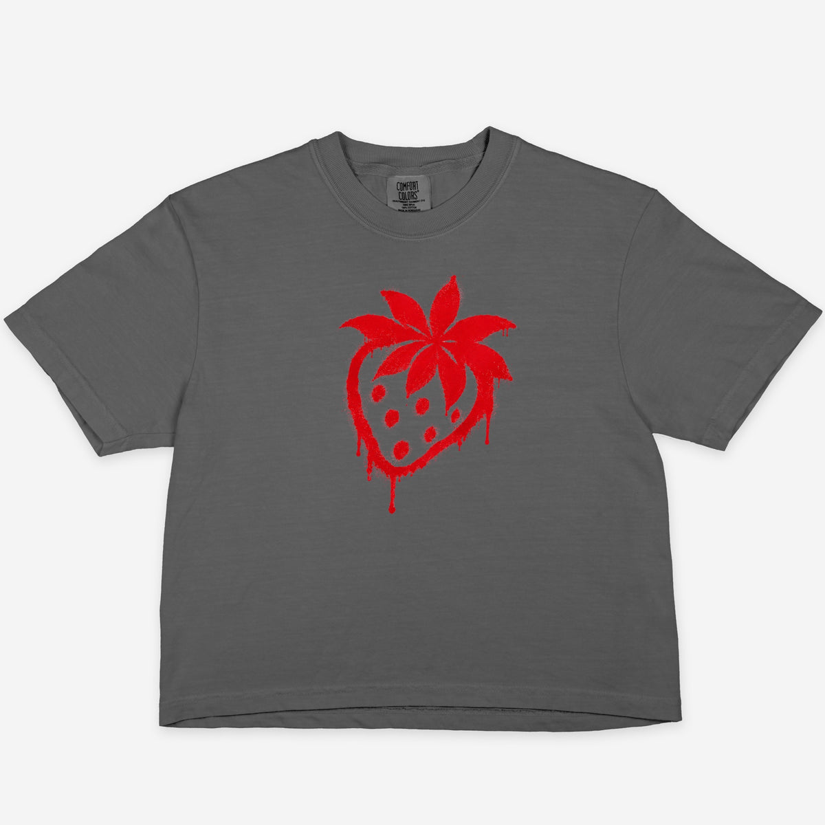 FIRST PRESS - HUMAN EDITION - WOMEN'S CROPPED BOXY TEE - "Not Today"
